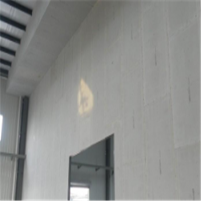 阳西宁波ALC板|EPS加气板隔墙与混凝土整浇联接的实验研讨